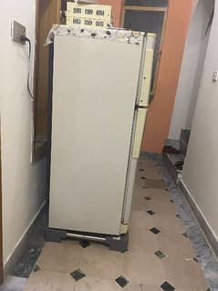 Pel Refrigerator