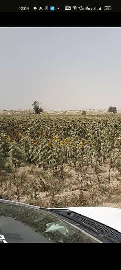 3200 KANAL AGRI land near CHOBARA DISTRICT LAYYA