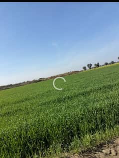 2000 Kanal  agriculture land for sale near MULTAN 45 km