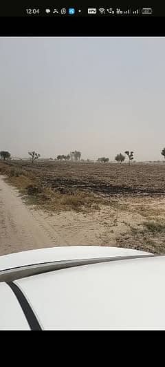 120 kanal agriculture land for sale near chwok Sarwar Shaheed