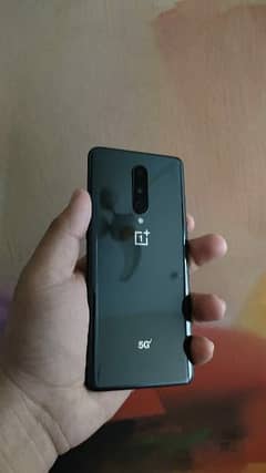 one plus 8 pta approved