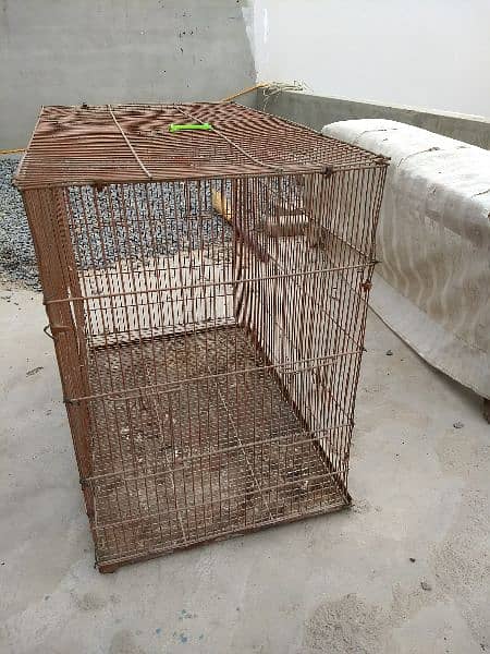 cage for sale 3