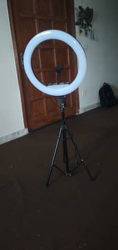 Light stand