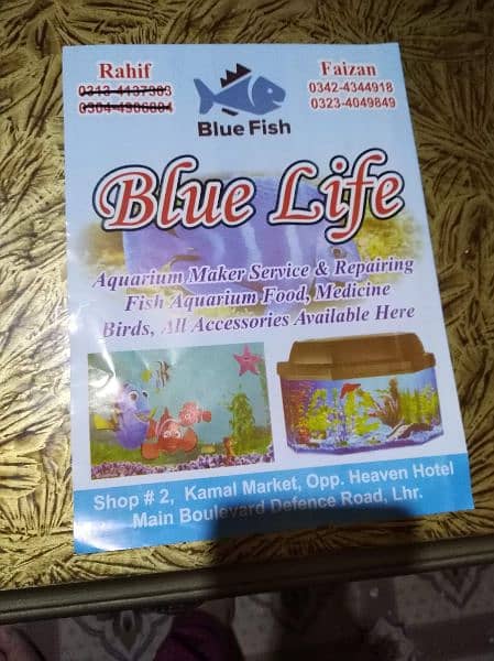 fish aquarium service or mantans k lye rabta kare 0