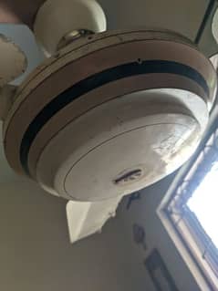 220V AC Ceiling Fan | KSC Fans