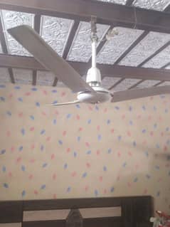 royal ceiling fan