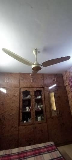 design fan