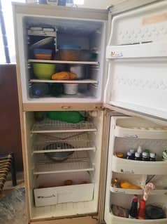 pel fridge