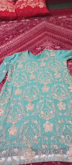 pure chaiffon Embroidered suit