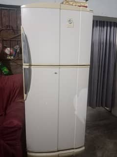 pell fridge full size