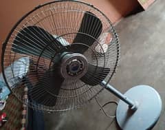 Stand Fan For Sale