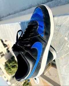 nike dunk Orignal