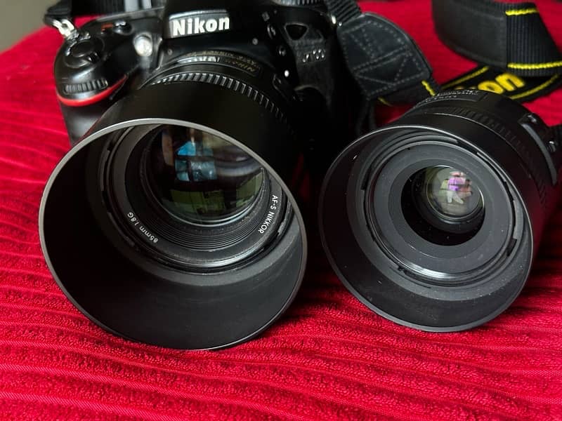 Nikon D7100 With Nikon 85mm 1.8G & Nikon 35mm 1.8G 5