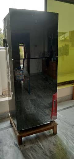 Pel Glass door fridge