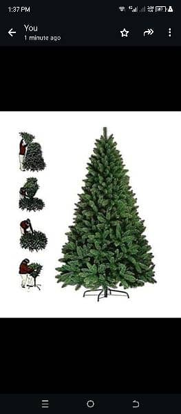Christmas tree important from Singapore 6ft 2