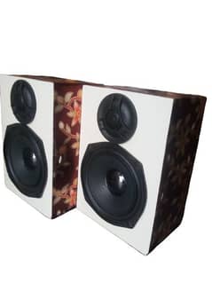 Eco box 8 inch woofer speaker best quality