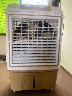 golden room air cooler