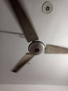 Fam For Sell, Conditions 10/9 All Ok, Running Fan,