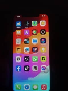 IPhone 12 Pro Max PTA approved 256gb