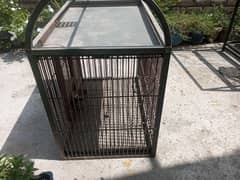 Grey parrot cage