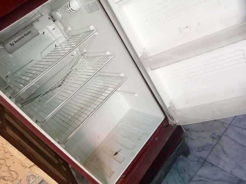 pel large fridge     frig 2