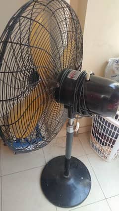 Starco floor fan for sale