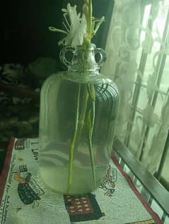plant Vase