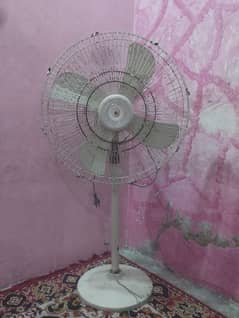 pedestal Fan