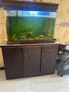 Fish Aquarium with Fish & Accessories