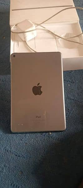 Ipad mini5 0