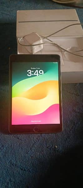 Ipad mini5 3