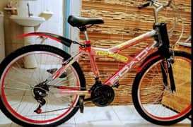 bicycle 0 meter ek din mini used full size call number 0314 950 5437