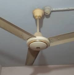 PAK Fan 56" Ceiling Fan 100% Copper