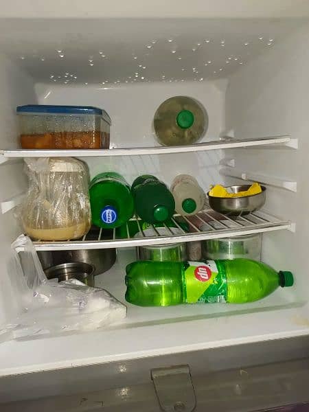 Haier full size fridge 1