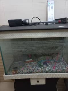 Fish Aquarium 2.6 Fitts With Complete Machines Urgent Sale