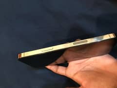 Iphone 12 Pro Max Gold