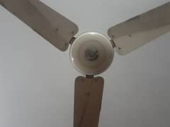 floor fan Pice on 8 Phone 0308-4455055