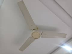 Al hamd ceiling fan