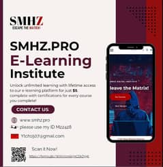 E-learning institute