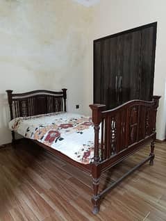 Expensive Saagwan Wood Single bed Kind Size