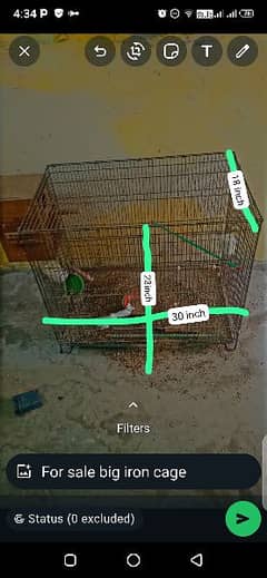 Birds iron cages for sale | parrots | birds I iron cages for sale