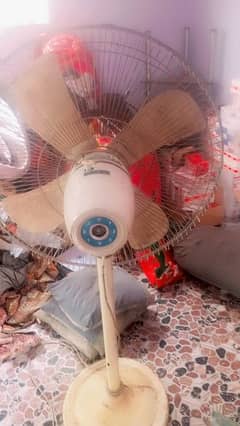 Pak pedestal fan