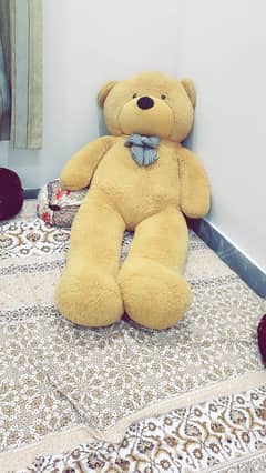 Teddy