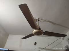 ceiling fan for your home