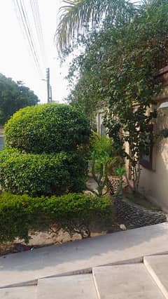 1 kanal single story House for rent in valancia town lhr