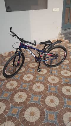 Good Quality Bicycle Imported