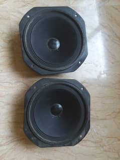 National Speakers 10 inch 60w pair 100% ok original parda 03337198821
