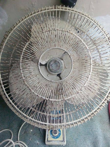 Pedestal Rado copper fan & stabilizer 10