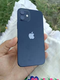 iPhone 12 non pta JV