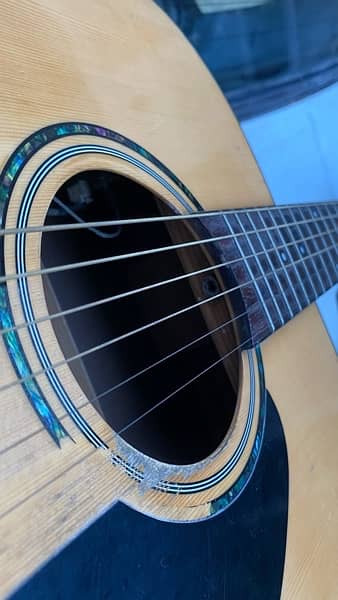 Fender semi acoustic guitar 3